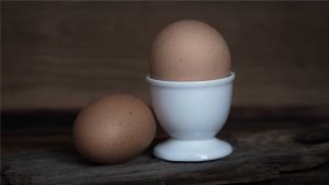 ovos são ricos em proteínas