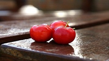 Acerola é fonte de vitamina C